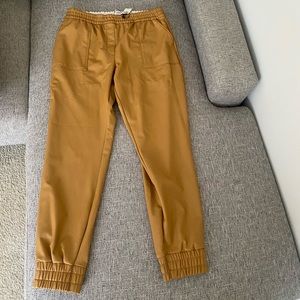Express leather joggers- new with tags